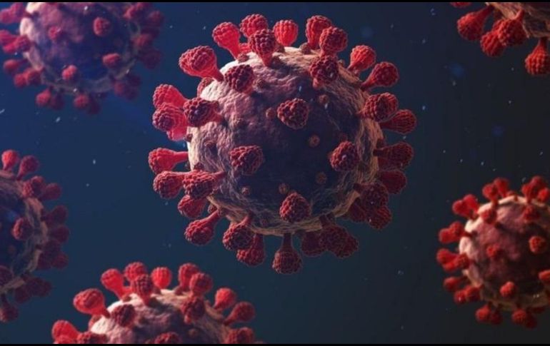 ¿Será el SARS-CoV-2 uno más de la larga lista de virus endémicos que afectan a los humanos?. GETTY IMAGES
