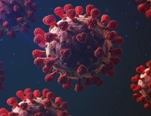¿Será el SARS-CoV-2 uno más de la larga lista de virus endémicos que afectan a los humanos?. GETTY IMAGES