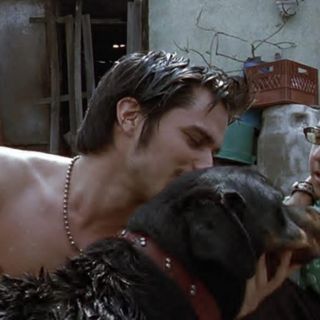 "Amores perros", 20 años de la película que revolucionó el cine mexicano