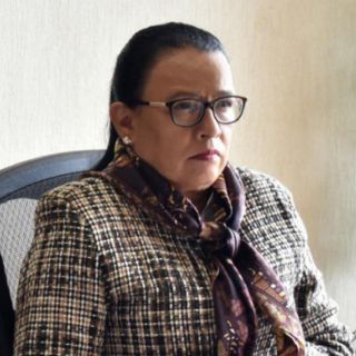 Quién es Rosa Icela Rodríguez, nueva secretaria de Seguridad