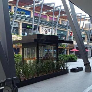 Botón de emergencia: Guadalajara recibe 400 reportes de fiestas en primer fin de semana