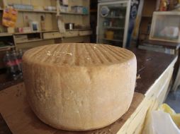 La pandemia cambió los hábitos de consumo de lácteos. EL INFORMADOR/ARCHIVO