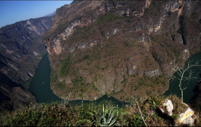 El Cañón del Sumidero es considerado uno de los sitios turísticos más emblemáticos de Chiapas. NTX/ARCHIVO