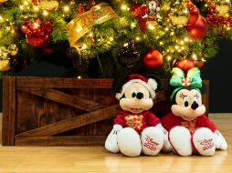 Disney y "Make a wish" cumplirán deseos de niños con enfermedades críticas