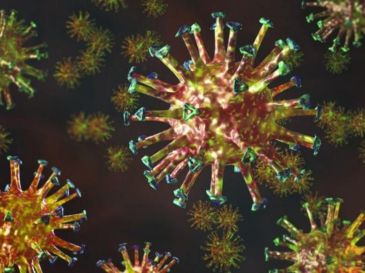 Incluso la definición de lo que es un virus presenta un enorme problema.