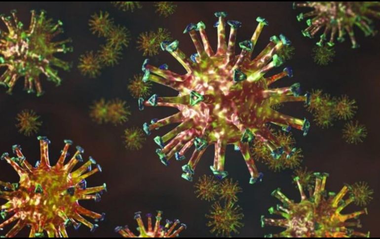 Incluso la definición de lo que es un virus presenta un enorme problema.