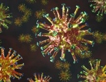 Incluso la definición de lo que es un virus presenta un enorme problema.