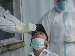 Científicos se enfrentan al reto de tener la vacuna antes de que exista una mutación del virus y se vuelva inservible. AFP /ARCHIVO