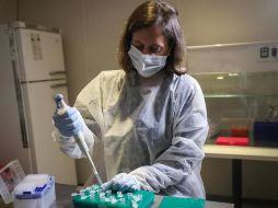 Actualmente se tienen detectados cuatro mil 343 casos activos en Jalisco. EFE/ARCHIVO