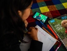 Gran parte de los encuestados señalan que les gustaría mucho contar con más materiales didácticos, como libros o juegos. EFE/ARCHIVO