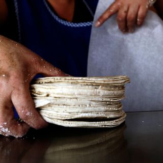 Prevén que kilo de tortilla incremente en diciembre
