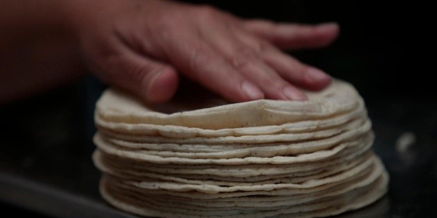 Descartan aumento de precio en la tortilla en Jalisco