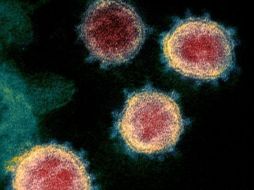Los científicos no descartan que el misterioso gen hallado contribuya a la biología única del virus. GETTY IMAGES