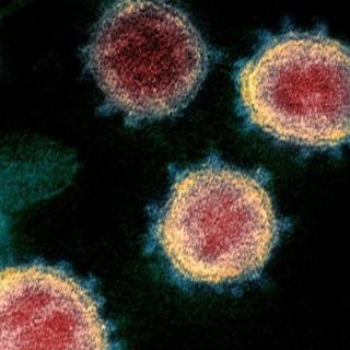 Coronavirus: el misterioso “gen dentro del gen” que descubrieron escondido dentro del patógeno