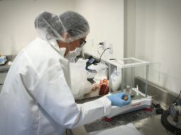 Las soluciones y portafolio de productos de Noverek apoyan el crecimiento de las Pymes especializadas en el sector alimentario. EL INFORMADOR/F. Atilano