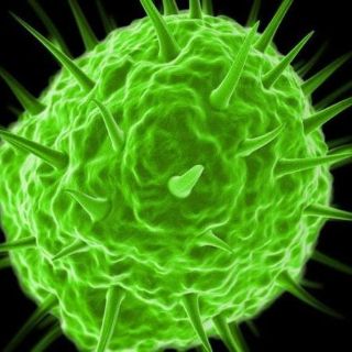 Qué son los pandoravirus y por qué algunos científicos dudan de que en realidad sean virus