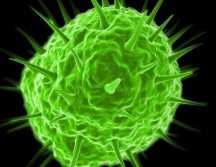 Los pandoravirus, incluidos dentro del grupo de virus gigantes, contienen muchos más genes que un virus normal. GETTY IMAGES