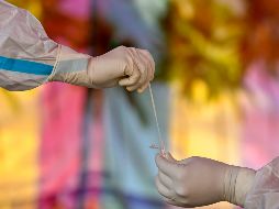 América, con una gráfica en fuerte ascenso, suma 22.9 millones de casos de COVID-19. AFP / ARCHIVO