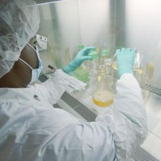 Cómo funciona el bamlanivimab, el primer medicamento diseñado específicamente contra la covid-19