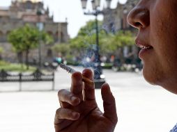 Las expertas crearon su modelo a partir de un cultivo de células madre de cinco donantes. EL INFOMADOR/ARCHIVO