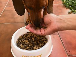 Las croquetas de calidad de GranCan buscan contribuir al desarrollo del cerebro, dientes y pelaje de su canino. ESPECIAL