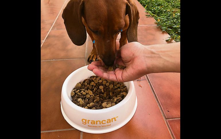 Las croquetas de calidad de GranCan buscan contribuir al desarrollo del cerebro, dientes y pelaje de su canino. ESPECIAL