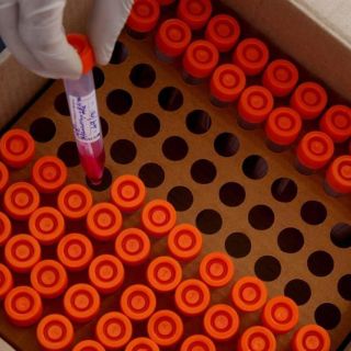 Coronavirus: EU promedia más de mil 300 muertes diarias