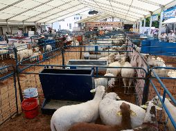 EL INFORMADOR / ARCHIVO