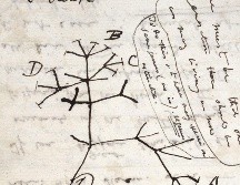El personal revisó recientemente las 189 cajas del Archivo Darwin, sin encontrar los cuadernos. AFP / University of Cambridge