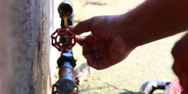 Las + Informador: Las noticias del 24 de noviembre de 2020