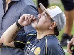 Maradona perdió la vida este miércoles a los 60 años de edad. AFP / ARCHIVO