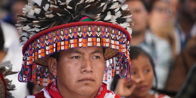 Ind&iacute;genas representar&aacute;n municipios donde son mayor&iacute;a: IEPC