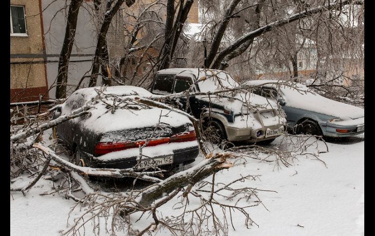 Gruesas capas de hielo cubrieron árboles, vehículos, calles y cables de electricidad, muchos de los cuales cedieron bajo el peso. AP/A. Khitrov