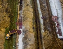 Imagen del 12 de noviembre del entierro de visones en un campo en Noerre Felding, cerca de Holstebro. Más de 10 millones de visones ya fueron sacrificados. AP/NTBYARCHIVO