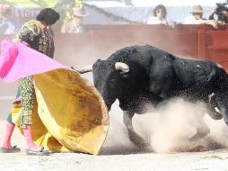 En 2018, el Congreso de Baja California aprobó una reforma para prohibir que los menores de edad entren a espectáculos públicos con animales. NTX/ARCHIVO