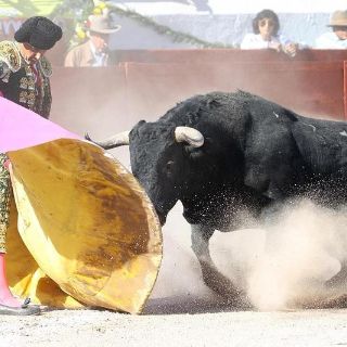 Corte avala que niño de cinco años entre a una corrida de toros