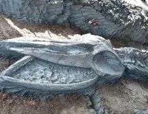 Los huesos todavía deberán ser sometidos a datación por carbono. FACEBOOK.COM/TOPVARAWUT