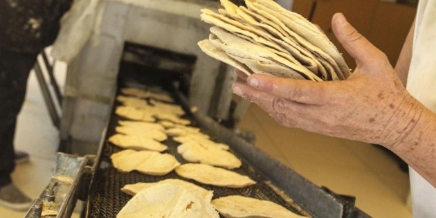 Advierten a tortilleros que habr&aacute; sanciones si suben precios