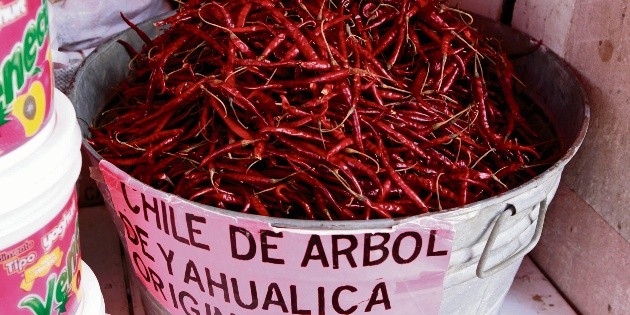 Consejo Regulador del Chile Yahualica, en disputa