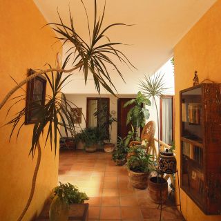 Cielo Rojo, placer máximo