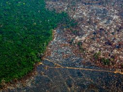 La deforestación en la Amazonía de Brasil se incrementó un 9.5% entre agosto de 2019 y julio de 2020. AFP/ARCHIVO