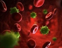 El blanco del virus son los linfocitos CD4.