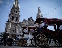 Las calandrias realizan de uno a dos viajes al día contra los cuatro que hacían antes de la contingencia sanitaria. EL INFORMADOR/F. Atliano
