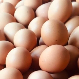 Huevos: 8 datos fascinantes que quizás no conocías sobre uno de los alimentos más nutritivos del mundo