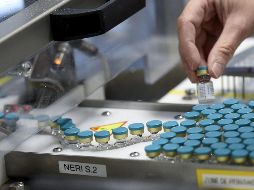 Las previsiones de la Organización son que en el primer trimestre de 2021 se puedan producir hasta 500 millones de dosis de las vacunas que estén disponibles. AFP / F. Lo Presti