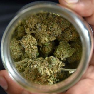 Ley sobre despenalización de la marihuana avanza en Congreso de EU