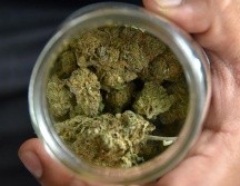 La nueva norma pretende sacar a la marihuana de la Lista de Sustancias Controladas de EU. EFE/I. Mejía