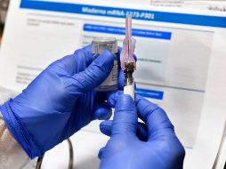 Cuando la vacunación consta de dos o tres dosis, 20% de las personas no completa el programa. AP/H. Pennink