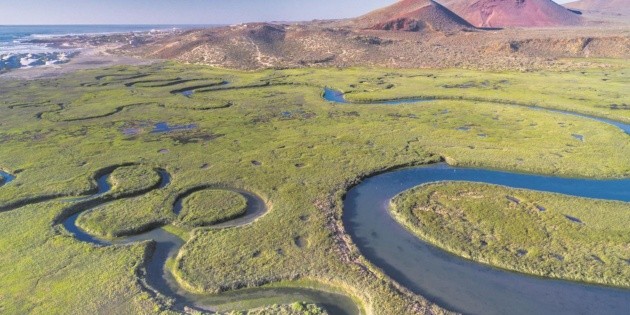 Cuatro razones para disfrutar de Baja California