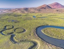 Humedales de la Bahía de San Quintín, de los más hermosos en Baja California. ESPEICAL/Turismo Baja California